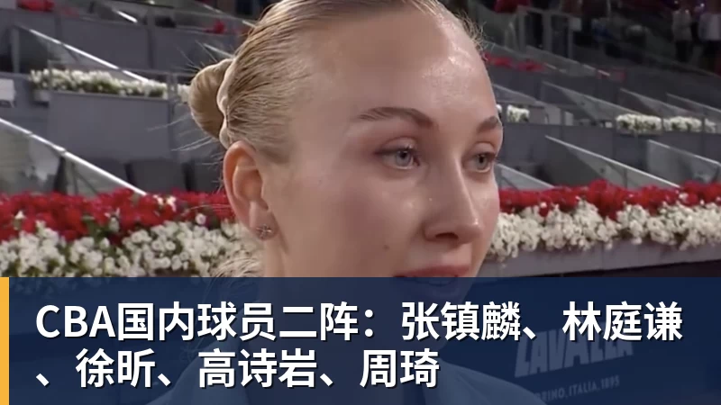 CBA国内球员二阵：张镇麟、林庭谦、徐昕、高诗岩、周琦