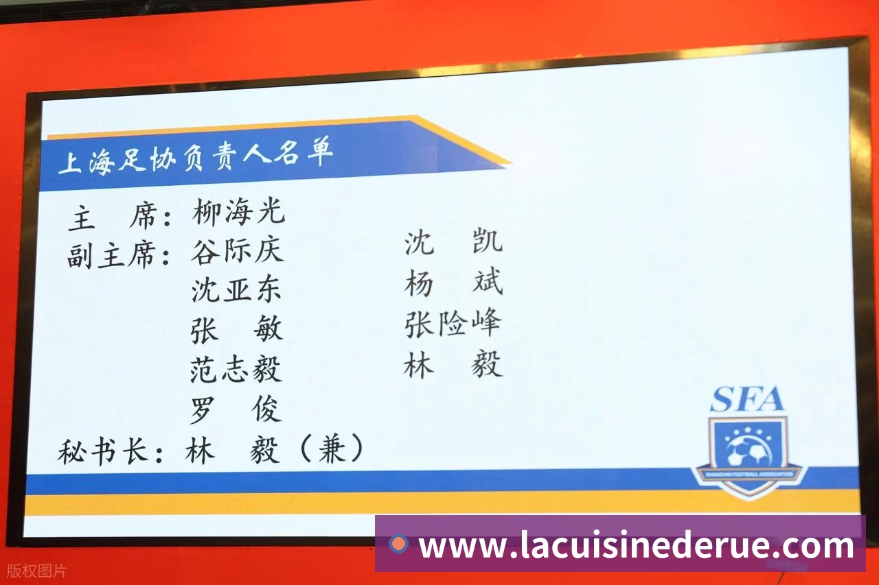 登录器